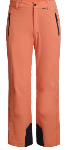 Брюки горнолыжные Icepeak 657038839IV 455 в Новороссийске