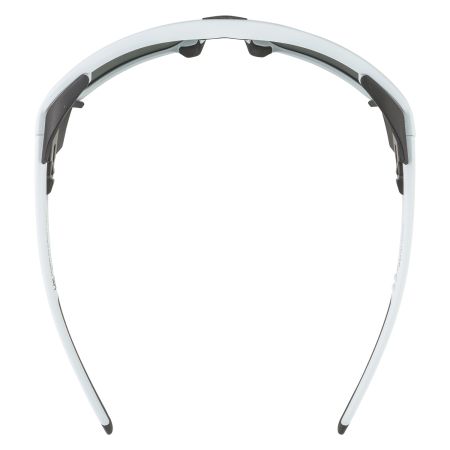 Купить Очки Alpina Skywalsh Q Smoke-Grey Matt/Green Mirror Cat.4 Fogstop в Новороссийске