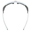 Купить Очки Alpina Skywalsh Q Smoke-Grey Matt/Green Mirror Cat.4 Fogstop в Новороссийске