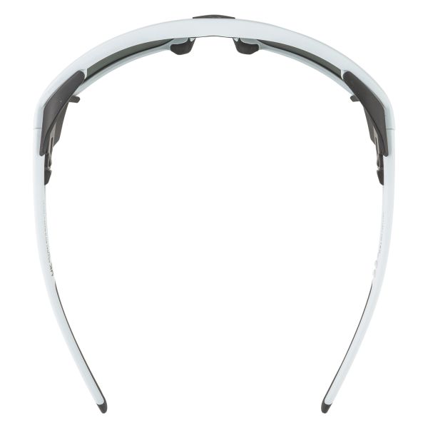 Купить очки alpina skywalsh q smoke-grey matt/green mirror cat.4 fogstop в Новороссийске