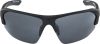 Купить Очки Alpina Lyron Hr Black Matt/Black Mirror Cat.3 в Новороссийске