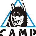 Кошки CAMP в Новороссийске