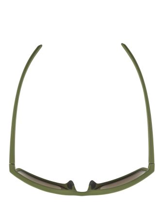 Купить Очки Alpina Nacan I Olive Matt/Bronce Mirror Cat.3 в Новороссийске