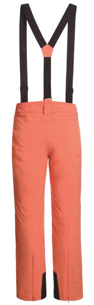 Брюки горнолыжные Icepeak 657038839IV 455 в Новороссийске