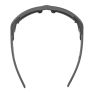 Купить Очки Alpina Skywalsh Q Midnight-Grey Matt/Blue Mirror Cat.4 Fogstop в Новороссийске
