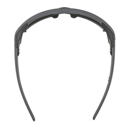 Купить Очки Alpina Skywalsh Q Midnight-Grey Matt/Blue Mirror Cat.4 Fogstop в Новороссийске