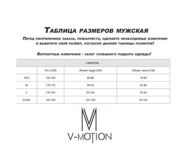 Термобельё V-MOTION Base мужской серебристый в Новороссийске